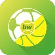 BetsWall Football Betting Tips APK