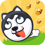 Crazy Dog Earning APP APK