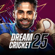 Dream Cricket 25 APK