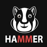 Hamster VPN APK