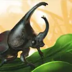 Micro Survivor APK